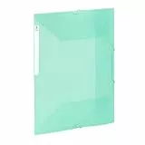 Viquel - Carpeta de plástico de gran capacidad con 3 solapas - Caja archivadora A4 con etiqueta de identificación - Verde translúcido