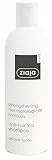 Ziaja Champú Anticaída con Fórmula Dermatológica Fortalecedora, 300 ml, Para Todo Tipo de Cabello de ZIAJA MED