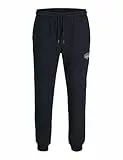 JACK & JONES Sweat Pants Jpstgordon Makoto-Pantalones de chándal, Sky Captain, L Hombres