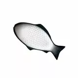 BAZEITFLOW Plato De Pescado Platos Con Forma De Pez Placas Para Servir Disgranos Para Hornear Para Servir Servicio Verde