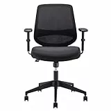 Amazon Basics Silla de oficina ergonómica, silla de escritorio, reposabrazos ajustables, soporte lumbar, agradable en la espalda, silla ejecutiva de malla, fácil montaje, 63,5 x 58,4 x 91,4 cm, Negro