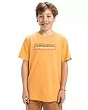 Quiksilver, Ev Sun Dagger Camiseta de Manga Corta, Niño, 12 años, Chamois