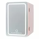 Flamingueo Nevera Pequeña 6,5L - Mini Nevera Espejo y Luz LED, Nevera 12V/220V, Función Frío y Calor, Nevera Cosmeticos, Nevera Skincare, Mini Fridge