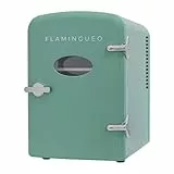 Flamingueo Mini Nevera, 4 Litros, 12V/220V, Para Habitación, Cosméticos, Bebidas, Función Frío y Calor, Balda Extraíble