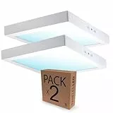 Lámpara de Techo LED 24W 295x295mm, Plafón LED Techo para Cocina, Salón, Dormitorio y Pasillo, Focos LED Interior para Techo, Iluminación Moderna para Habitaciones, 2000LM Luz Fría 6500K - PACK 2