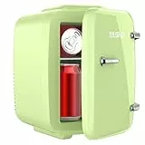 YASHE Mini frigorífico, 4 litros, para cosméticos, bebidas, 220 V CA/12 V CC, refrigeración termoeléctrica y calefacción, nevera pequeña para dormitorio, oficina, dormitorio, coche (verde)