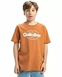 Quiksilver, Ev Shape All Days Camiseta de Manga Corta, Niño, 10 años, BRAN
