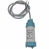 pro-Styling Comet VIP Plus - Bomba sumergible de agua (12 V, 20 l/min, 1,1 bar)