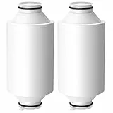 Cartucho de filtro de ducha de agua compatible con Philips Water - Filtro de ducha en línea, filtro de ducha AWP175 compatible con Philips AWP1775WH / AWP1775CH (2 unidades)