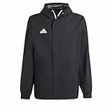 adidas Hombre Entrada 22 All-Weather Jacket, Black, L