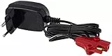 Feber - Cargador - Válido para Baterías De Vehículos Eléctricos De Juguete De Feber, Compatible con Coches, Motos, Quads Y Trimotos, De 6 Voltios Y 1 Amperio, Famosa (800003112)