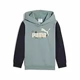 PUMA Sandy Adventures Hoodie TR PS, Sudaderas con Capucha Unisex Niños, Green Moon,