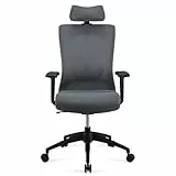 Amazon Basics Silla ejecutiva ergonómica, respaldo alto, silla de escritorio, silla de oficina, reposacabezas ajustable, reposabrazos y soporte lumbar, 63 x 59,5 x 124 cm, gris