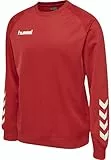 hummel Sudadera para Hombre Promo Poly
