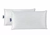 Todocama - Almohada viscoelástica, antiácaros y antibacterias. Tejido Platinium Suave, Fresco y Transpirable. Núcleo termorregulable, Doble Funda con Cremallera Lavable. (Pack 2 unidades 75 cm).