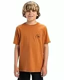 Quiksilver, EVO Original BS tee Camiseta de Manga Corta, Niño, 12 años, BRAN