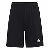 adidas Unisex niños Entrada 22 Shorts, Black, 13-14 Years