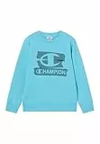 Champion Legacy Boys Sudadera, Azul Claro, XL para Niños