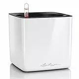 LECHUZA Cube, 16 maceta de riego automático, pequeña, maceta para interiores sin agujeros de drenaje, poliresina, H16 L17 W17 cm, color blanco brillante