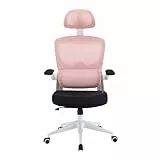 Woxter Ergo Pink - Silla de Escritorio/Oficina (Eje Acero, Levantamiento por pistón, MallaTranspirable, Ergonómica, Reposabrazos, Altura Ajustable)