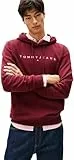 Tommy Jeans Sudadera Hombre Linear Logo con Capucha, Rojo (Red Wine Multi), M