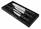 Arcos Juego de Cuchillos de Cocina cuatro piezas. 3 Cuchillos chef y 1 tijeras Acero Inoxidable y mango ergonómico polioximetileno para cortar carne, pescado y verduras. Serie Maitre. Color negro.