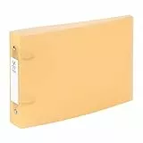 Viquel Bristol - Archivador de tarjetas con etiquetas de identificación (2 anillas, tamaño A5 (25 x 16,5 cm), color naranja