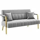 Yaheetech Sofá de Tela de Terciopelo de Dos Plazas con Reposabrazos y Patas de Metal Loveseat Moderno con 2 Cojines para Salón/Dormitorio Gris Claro