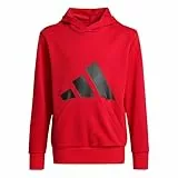 adidas Unisex niños Essentials Big Logo Hoodie, Pure Ruby/Black, 15-16 Years