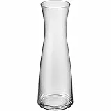 WMF - Repuesto botella de cristal de 1,0l 06.1770/73, colección Basic