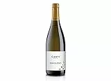 Canti - Moscato Asti D.O.C.G., Vino Espumoso Dulce, Uva Italiana de Piamonte, Sabor Afrutado y Dulce, 1x750 ml
