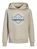 JACK & JONES Jjelogo Sweat Hood 2 Col 24/25 Noos Jnr Sudadera con Capucha, Moonbeam, 128 para Niños