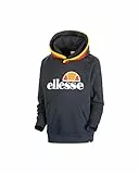 ELLESSE EHM919CO3 Hoodie Sweatshirt Men Salute L