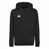 adidas Unisex niños Entrada 22 Sweat Hoodie, Black, 11-12 Years