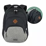 travelite Mochila para equipaje de mano, mochila para portátil de 15,6 pulgadas, BASICS, mochila de día con muchos compartimentos, 45 cm, 22 litros