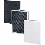 Beurer 660.07- Set filtro para purificador de aire LR-500 (filtro HEPA13 con rendimiento del filtrado del 99.95% y filtro de carbón activo)