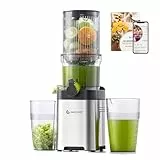 AMZCHEF Sin Preparación 120MM Slow Juicer - Limpieza Rápida Licuadora Prensado en Frio - Extractor 2L capacidad para verduras y frutas enteras [Clase de eficiencia energética A+++]