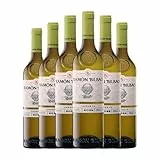 Ramón Bilbao Verdejo Rueda Joven 75 cl Vino blanco (Caja de 6 Botellas de 75 cl)
