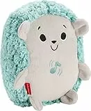 Fisher-Price Erizo vibración y Sonidos, Juguete de Cuna y Peluche para bebé recién Nacido (Mattel fxc58).