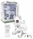LEXIBOOK - Power Kitty® - Gato Robot Teledirigido, Robot Inteligente Programable, Luz, Sonido, Blanco/Rosa - KITTY01