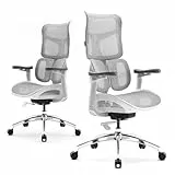 SIHOO Silla ergonómica de Oficina Doro S100 - con Soporte Lumbar dinámico Dual, Respaldo Ajustable en 5 Niveles, reposabrazos coordinados en 4D Adecuada para la Oficina en casa (S100 Blanco)