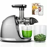 AMZCHEF Licuadora prensado en frío - Extractor de zumos y verduras - Licuadoras para zumos con 2 depósitos y cepillo - Cold press slow juicer machine con función de masticación inversa - Plata