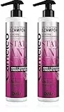 Cameleo - ANTIESTÁTICO - Champú - Cabello Rebelde - Cabello Encrespado - Hidratante - Suavizante - 250 ml (Paquete de 2)