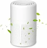 Purificador de Aire con Filtro HEPA, USB Air Purifier con Aromaterapia, Purificador de Aire Silencioso para Interiores, Hogar, Oficina, Polvo, Humo, Pelo de Mascotas, Alergia al Aire