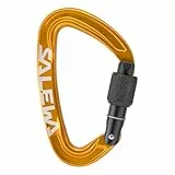 Salewa Ortles Screw Carabiner