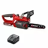 Einhell Motosierra con batería GE-LC 18/25-1 Li Kit Power X-Change (18 V, 23 cm de longitud de corte, 4,5 m/s velocidad de cadena, lubricación de cadena automática, incl. 1x 3,0 Ah + cargador)