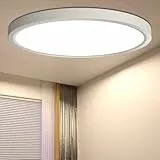 DetarZinLED Lámpara de Techo LED Lámpara de Techo, IP44 Lámpara de Baño Impermeable Redonda Plana 24W 4000K 2640LM Delgada para Sala de Estar Baño Dormitorio Cocina Pasillo Sótano Oficina, 300 * 23mm