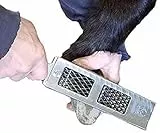 Escofina Cody James Littlefoot: archivo de calidad que no se obstruye: AGRESIVO