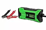 Motorkit MOTOR16519 Cargador de batería con indicador LCD, Para baterías de plomo, Verde, 4A