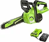 Greenworks 24V 10in Motosierra Eléctrico sin Cable con Batería de 2Ah y Cargador, Velocidad de Cadena 4,3 m/s, Auto-Aceitero, Motosierra de Batería con Protección Contra la Retracción